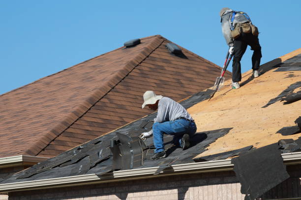 Best Asphalt Shingle Roofing  in Delray Beach, FL